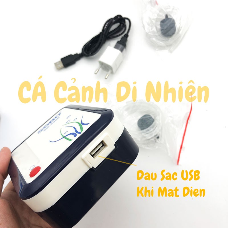 Máy sục sủi khí oxy TÍCH ĐIỆN 2 vòi SOBO SB-4000 cho hồ cá SB4000