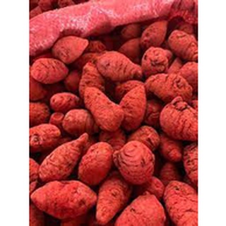 Nghệ đỏ cho gà đá - Hủ 500GR