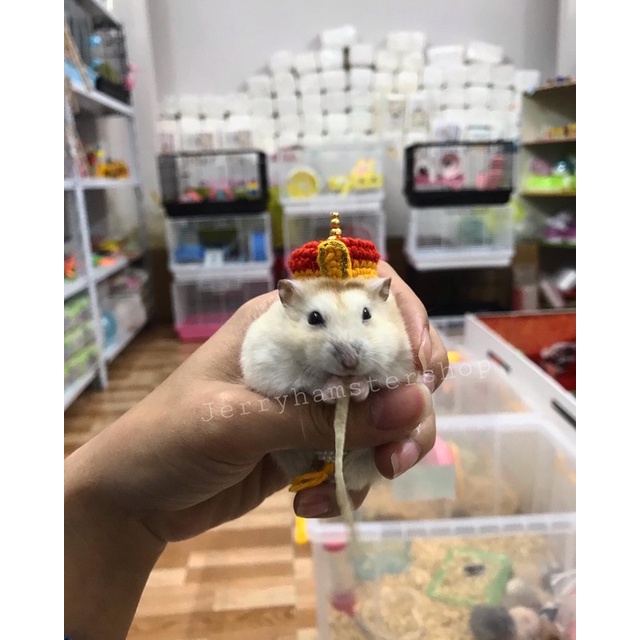 Mũ hoàng thượng cho Hamster