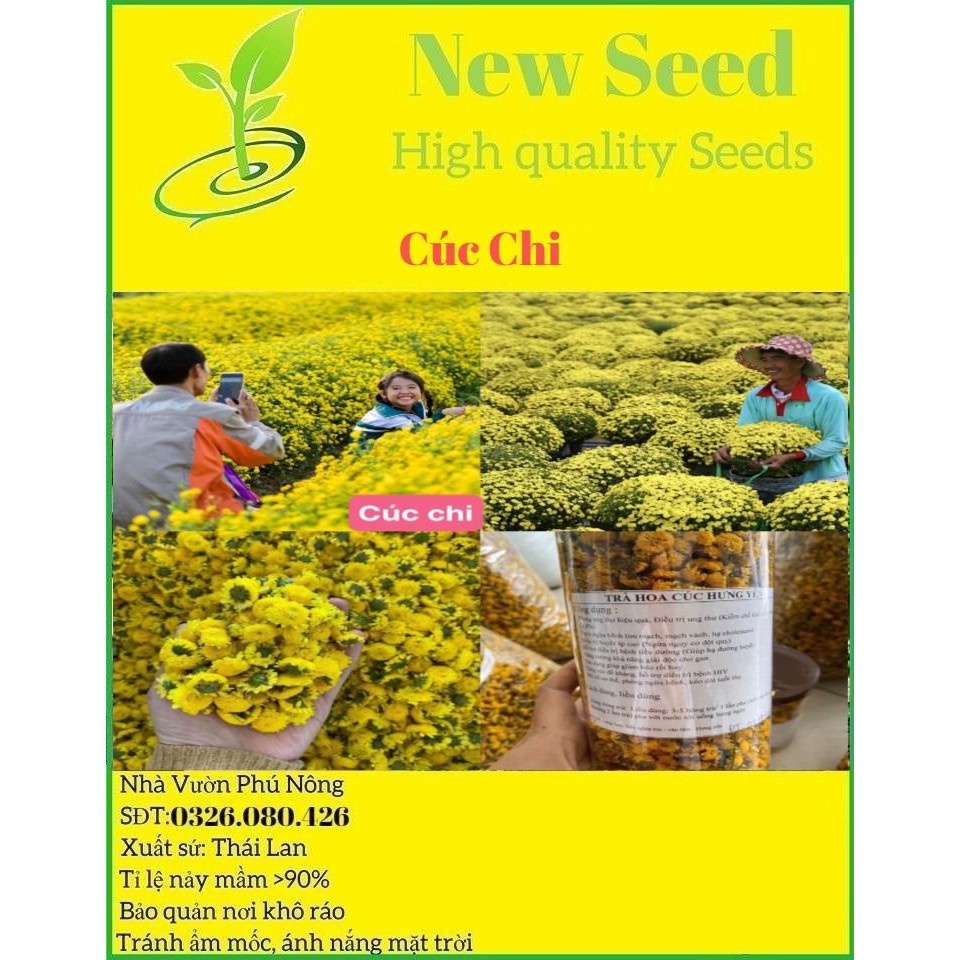 Hạt Giống Cúc Chi F1 Hoa Nở Siêu Đẹp &amp; Dễ Trồng [ Gói 50gram,100gram,200gram]