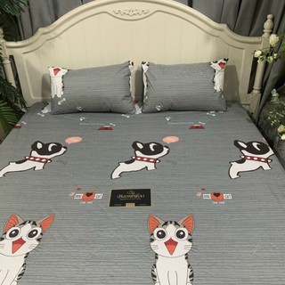 ga chống thấm cotton Nano kháng khuẩn size 2mx2m