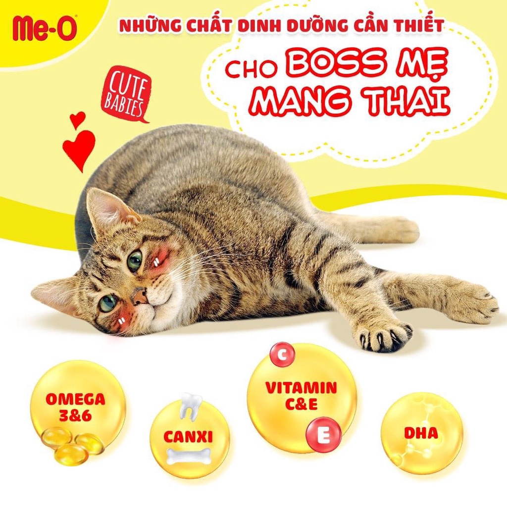 HẠT MÈO MANG THAI VÀ CHO CON BÚ    Me-o Mother &amp; Baby, cho con bú, mèo nhỏ tập ăn hạt bước đầu