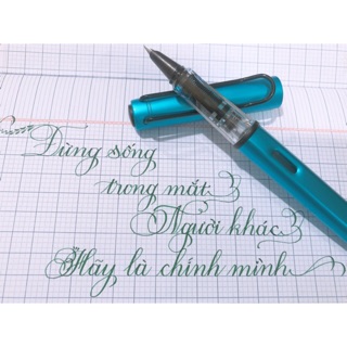 Bút luyện chữ đẹp T01
