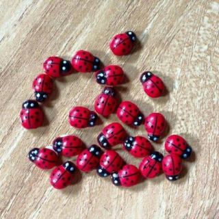 10 Bọ Cánh Cứng CÓ ẢNH THẬT