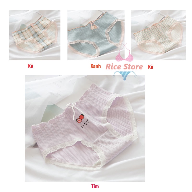 Quần lót nữ cotton cao cấp KIMCHIBIKINI chip nhật sexy dễ Thương mềm mại thoáng mát siêu đẹp kháng khuẩn thông hơi QL035