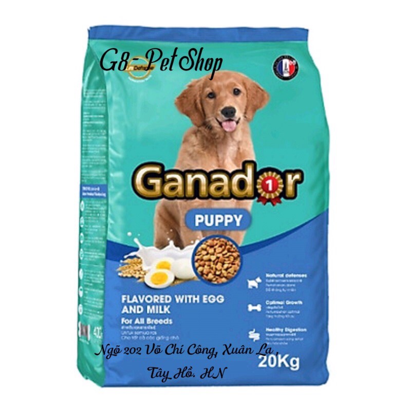 20kg - Ganador Puppy trứng sữa - Thức ăn chó dưới 12 tháng