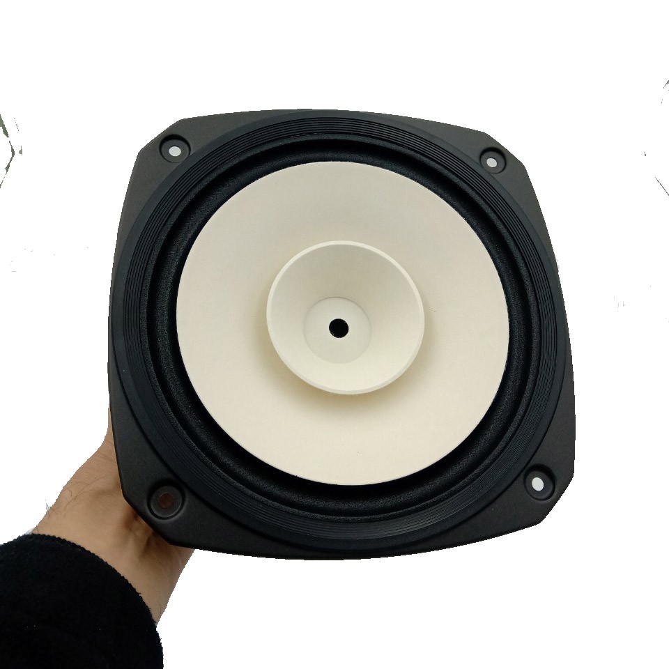 Củ loa rời toàn dải 20cm Fostex FE206NV, giá bán theo cặp