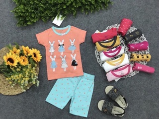 Set 4 bộ tay ngắn bé gái