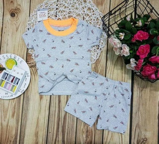 Combo 6 bộ carter 15-18kg bé gái
