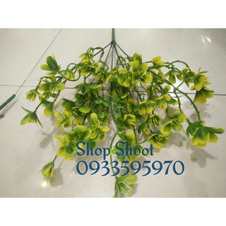 CÀNH ĐIỂM CỎ 4 LÁ VÀNG XANH