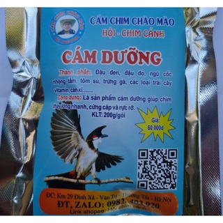 Cám chim chào mào dưỡng
