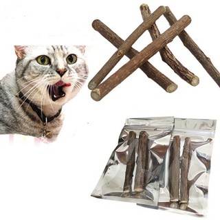 2 Cây Gỗ Catnip Bạc Hà Cho Mèo Gặm Trắng Răng
