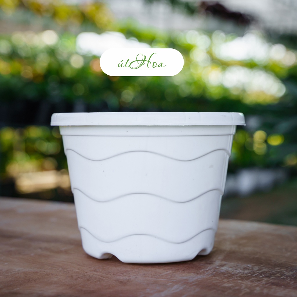 [Tặng dây treo] Chậu treo sóng biển trồng hoa 200x150