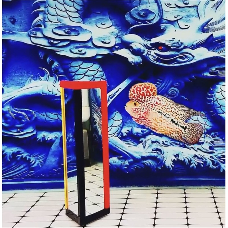 Kính kè cá la hán