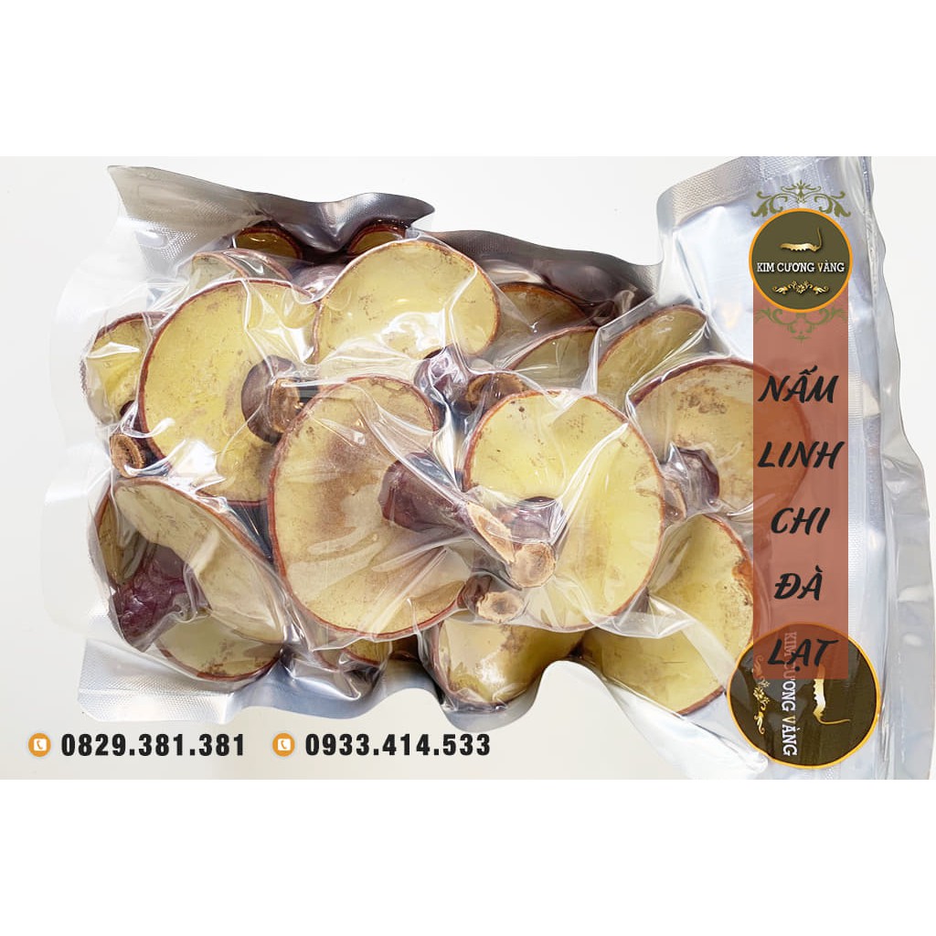 NẤM LINH CHI ĐỎ ĐÀ LẠT | BigBuy360 - bigbuy360.vn