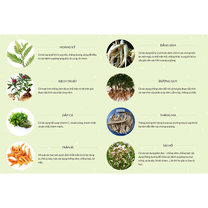 An Nhiên Tọa - Diệt Trĩ Tại Nhà | BigBuy360 - bigbuy360.vn