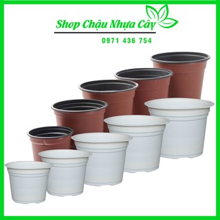 Chậu Nhựa Trồng Cây (Giá Rẻ)