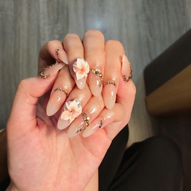 Cọ vẽ hoa, cọ hoa cúc Nhật