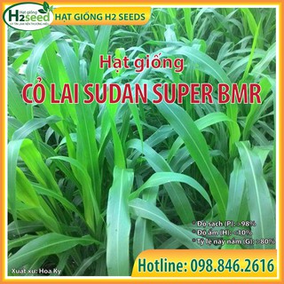 Hạt giống cỏ Lai Sudan Super BMR - gói 500g siêu dinh dưỡng dùng trong chăn nuôi trâu, bò, cá, thỏ...