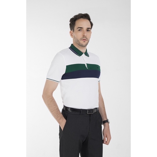 Áo Thun Nam DARNELL, Áo Polo Chính Hãng Cao Cấp, Áo Ngắn Tay Có Cổ, Áo Nam Công Sở Chất Cotton Mềm Mịn Bền Đẹp DN0038 | BigBuy360 - bigbuy360.vn