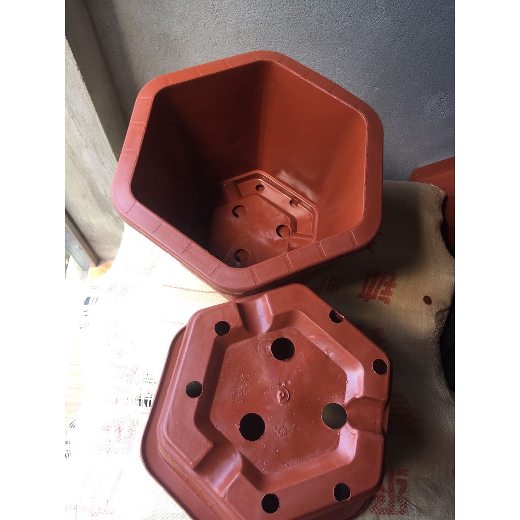 10 CHẬU NHỰA LỤC GIÁC MÃ #450 (DỊCH TRUYỀN CỨU CÂY, KÍCH RỄ MẦM CÂY, BẦU KHAY TÚI ƯƠM..)