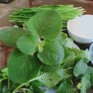 SIRO THẢO MỘC TỰ NHIÊN