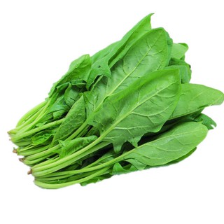 Gói 10gr hạt giống rau chân Vịt cải bó xôi