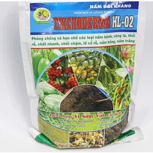 Nấm Trichoderma
