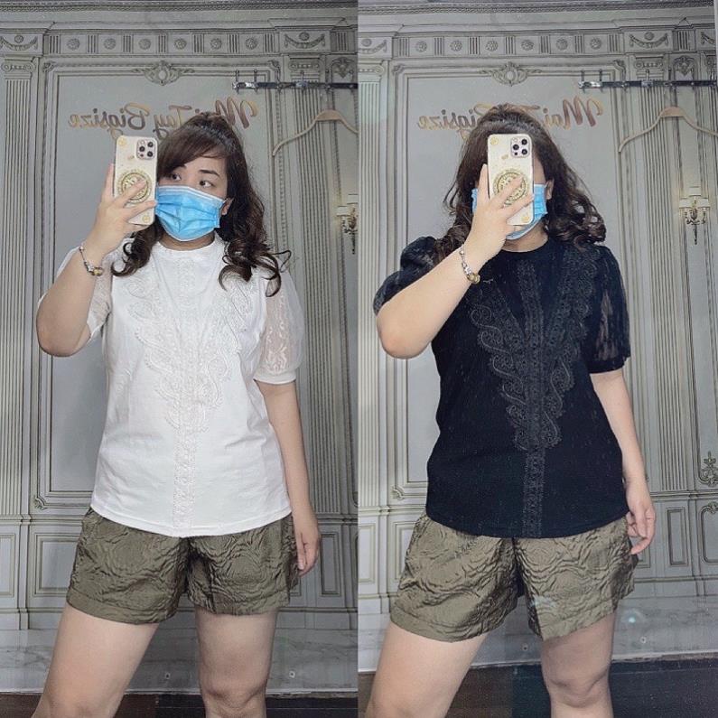 Áo thun pha ren tiểu thư hàng thiết kế bigsize !