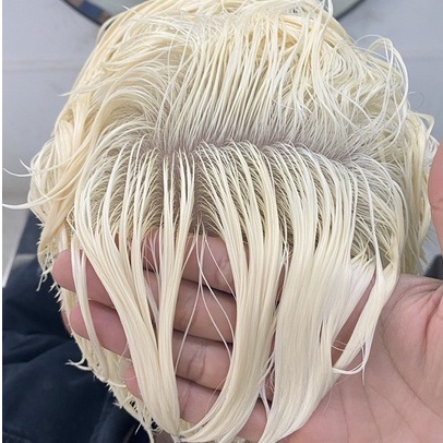 Combo Thuốc tẩy tóc, Bột tẩy tóc ProMax và Dầu gội tím ProMax siêu khử vàng | Bill Hair, Billhair