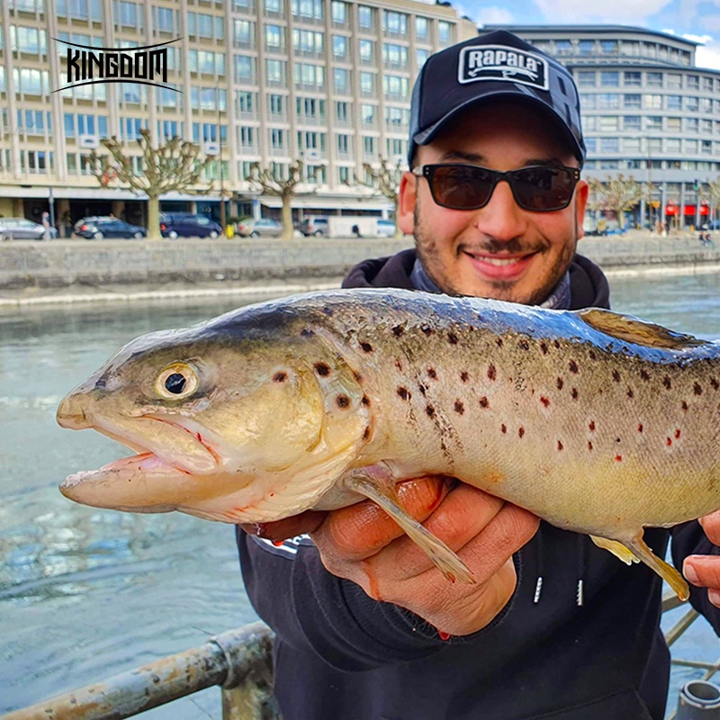 Mồi câu cá giả KINGDOM mềm 120mm 38g