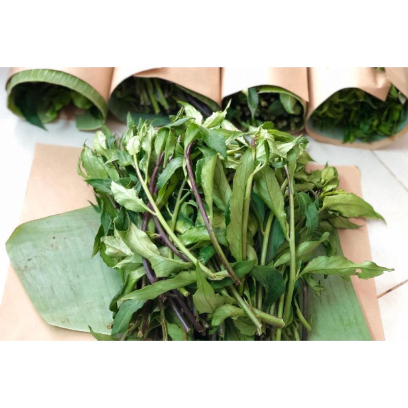 RAU LỦI TƯƠI  GIA LAI - ĐẶC SẢN TÂY NGUYÊN