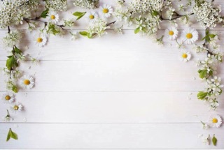 Thảm vải chụp ảnh