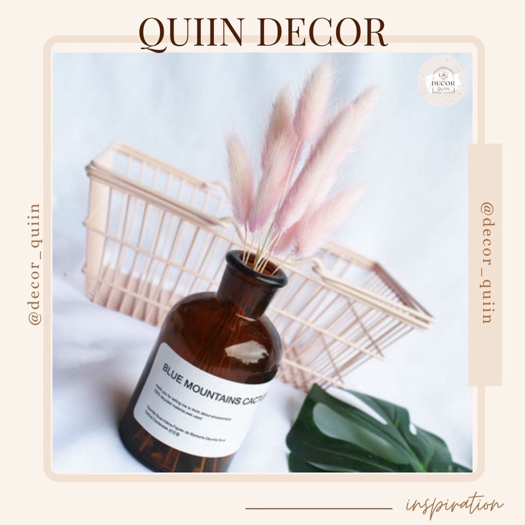 🤗Lọ hoa thủy tinh bắc âucỏ đuôi thỏ❤️[Freeship] 10 bông nhiều màu sắc hoa khô trang trí vintage decor quán