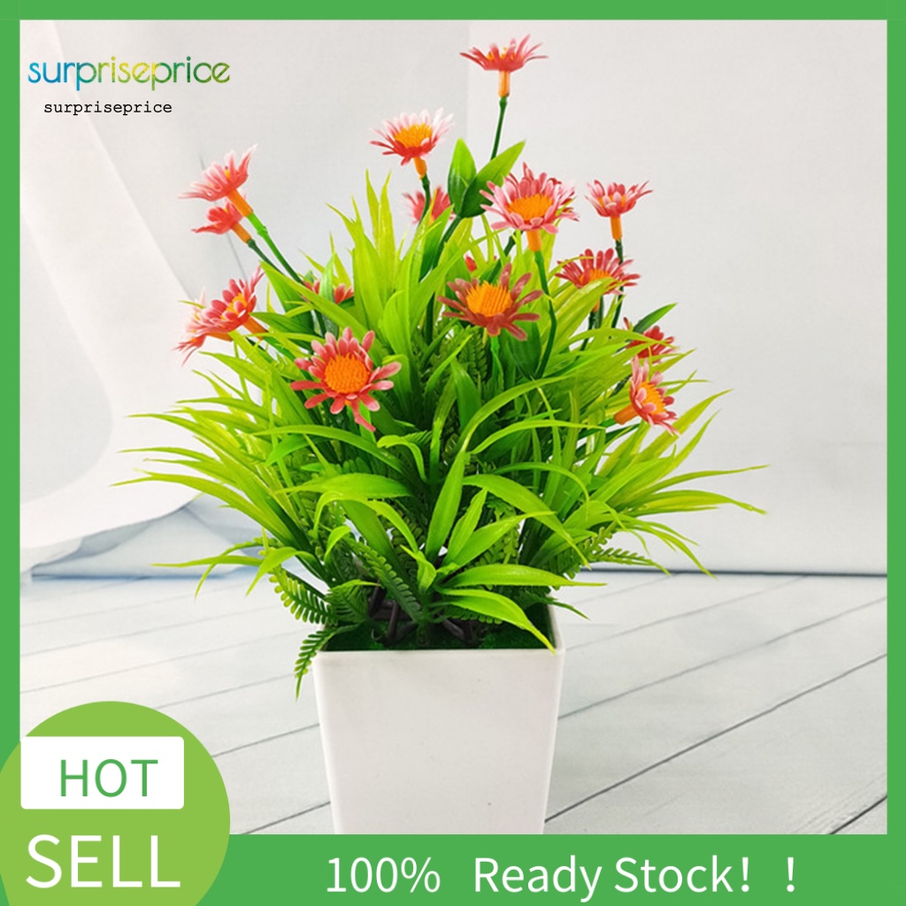 Spa 1 Bộ Chậu Cây Bonsai Thực Tế Bắt Mắt