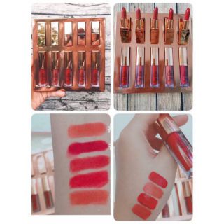 Set son lily 10 cây mini