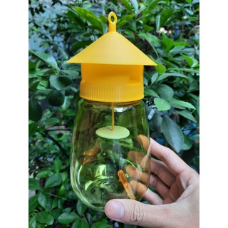 Lồng bẫy ruồi vàng (tặng kèm 1 ống chất dẫn dụ)