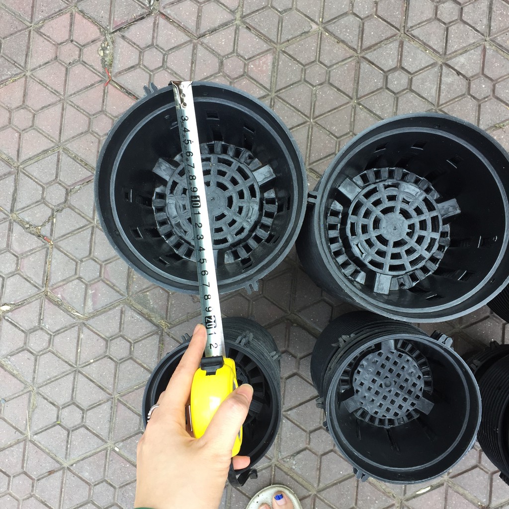 Chậu nhựa lan phi, giỏ chuyên dụng trồng lan nhiều kích cỡ từ 12-15-18-20cm giá rẻ nhất