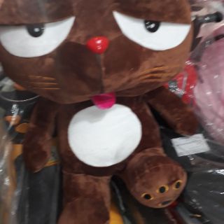 mèo dinga lớn 60cm