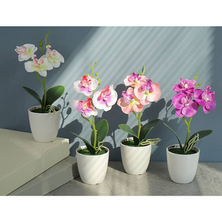 Chậu cây Lan hồ điệp cao cấp (hoa giả) - Trắng