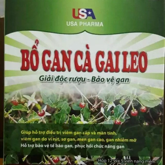 Bổ Gan Cà Gai Leo : Giải Độc Rượu - Bảo Vệ Gan Hộp (60 viên)