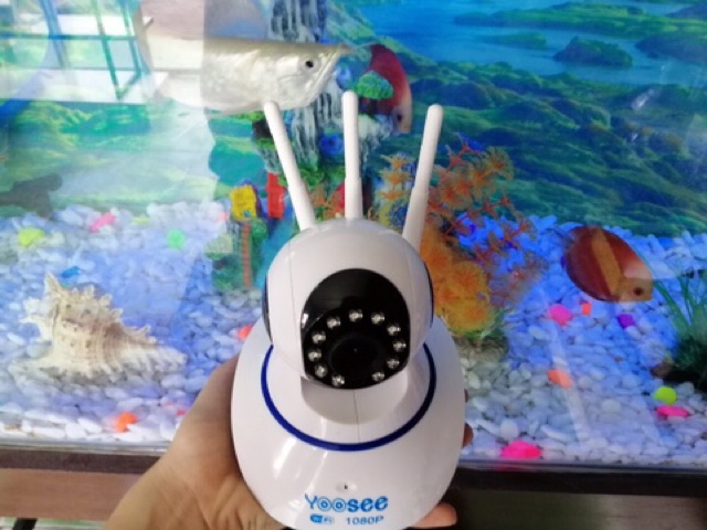 [Mã ELCA12 giảm 7% đơn 500K]Camera Yoosee 3 Anten Full HD 1080P kèm thẻ nhớ 32G | BigBuy360 - bigbuy360.vn