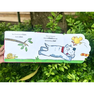 SÁCH - Tương tác lật mở ( NHIỀU CHỦ ĐỀ )