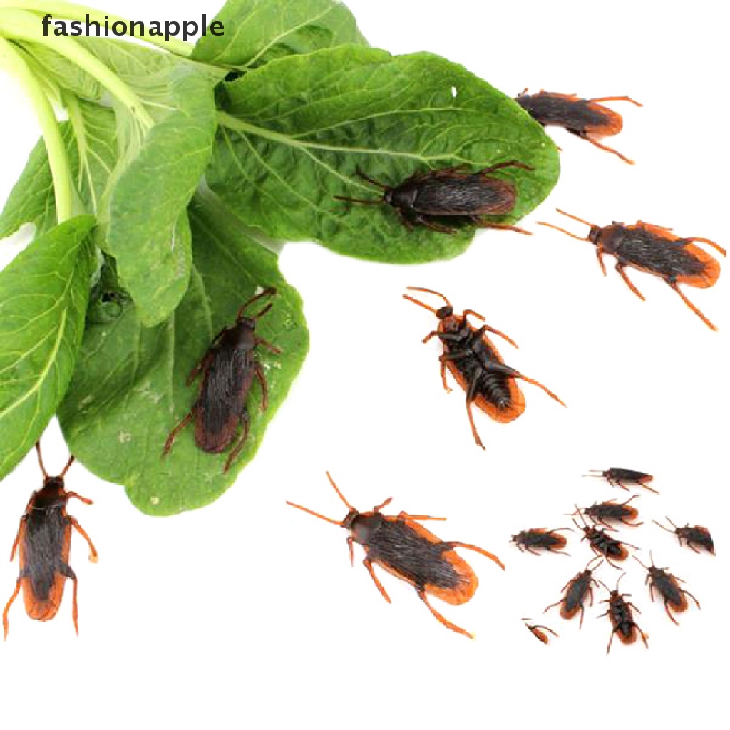 Set 10 Mô Hình Con Gián Giả Bằng Cao Su