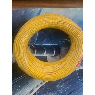 Dây điện  cadisun đơn 5m: 1x 2.5mm