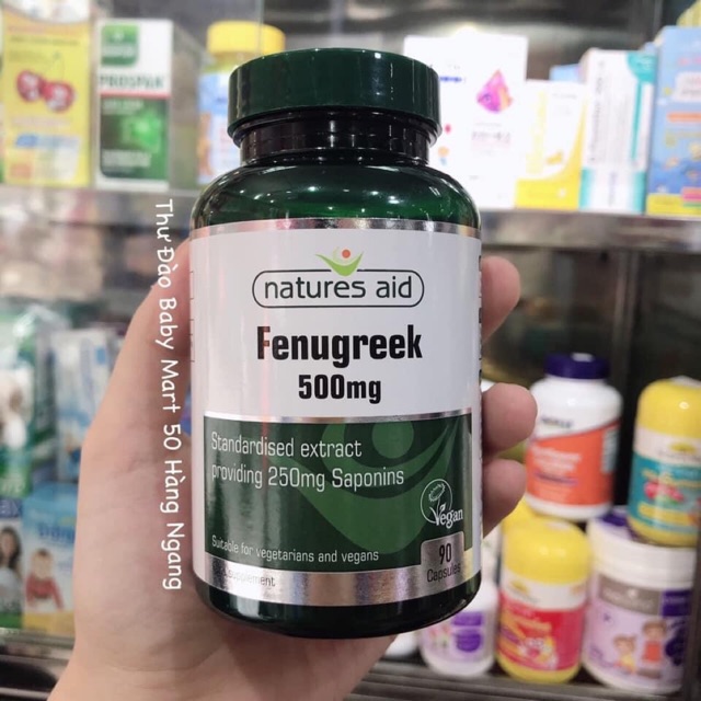 Cỏ cari lợi sữa Fenugreek