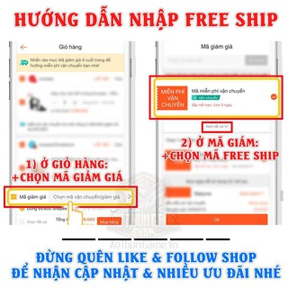 Bút hoa quả (Lát cắt trái cây)