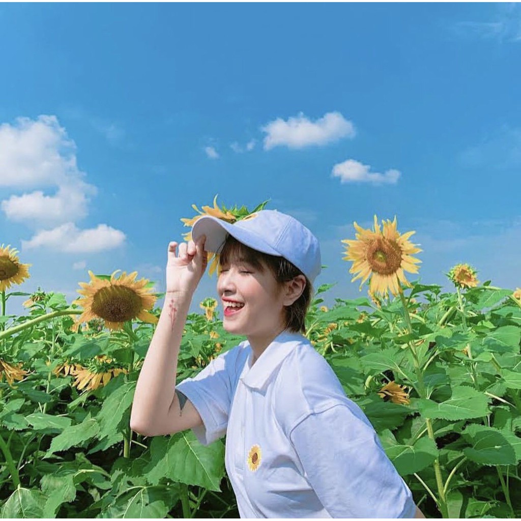 Áo Polo HOA HƯỚNG DƯƠNG Unisex | BigBuy360 - bigbuy360.vn
