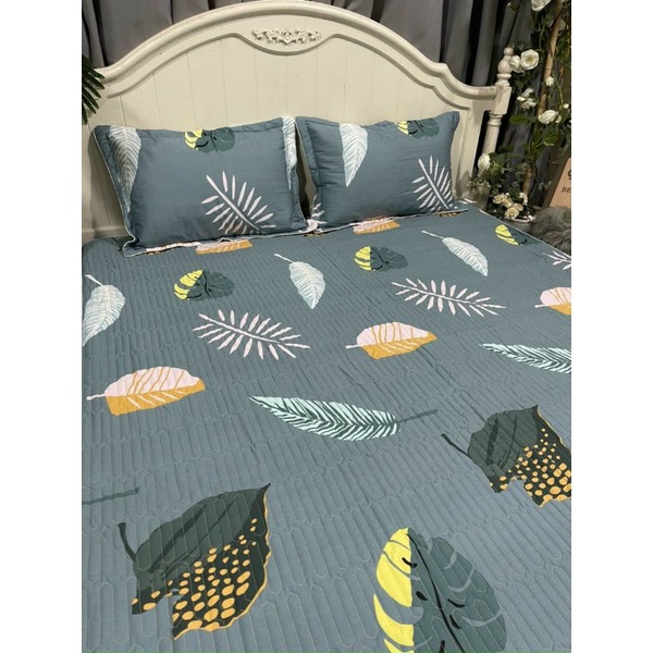 Ga gối cotton trần bông bo chun hàng loại 1- giá rẻ