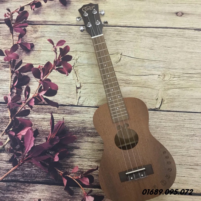 (FLASH SALE) ĐÀN UKULELE CONCERT ĐỘC ĐÁO